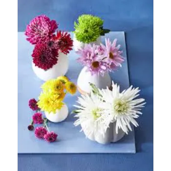 Fancy Cut Flowers
